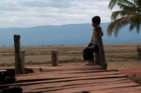 construire contre les marées